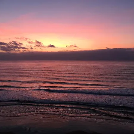 Badano Sul Mare 호텔 알라시오