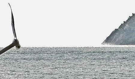 Badano Sul Mare Hotel