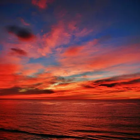 Badano Sul Mare 호텔 알라시오